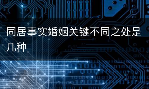 同居事实婚姻关键不同之处是几种