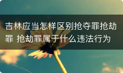 吉林应当怎样区别抢夺罪抢劫罪 抢劫罪属于什么违法行为