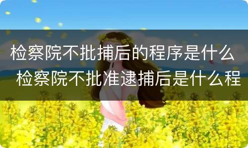检察院不批捕后的程序是什么 检察院不批准逮捕后是什么程序