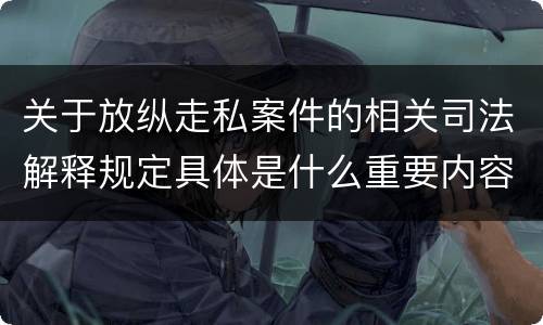 关于放纵走私案件的相关司法解释规定具体是什么重要内容