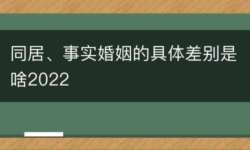 同居、事实婚姻的具体差别是啥2022