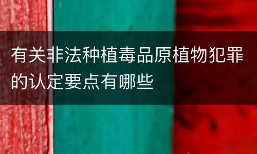 有关非法种植毒品原植物犯罪的认定要点有哪些