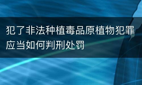犯了非法种植毒品原植物犯罪应当如何判刑处罚