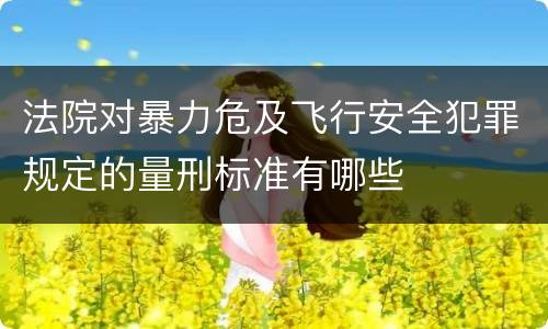 法院对暴力危及飞行安全犯罪规定的量刑标准有哪些