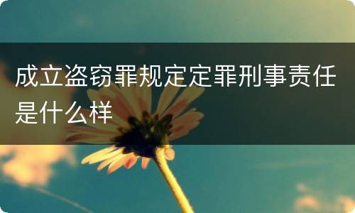 成立盗窃罪规定定罪刑事责任是什么样