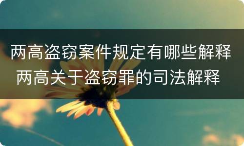 两高盗窃案件规定有哪些解释 两高关于盗窃罪的司法解释