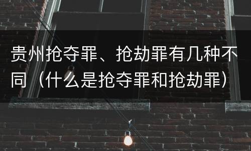 贵州抢夺罪、抢劫罪有几种不同（什么是抢夺罪和抢劫罪）