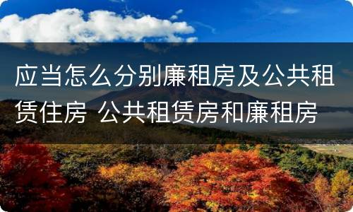 应当怎么分别廉租房及公共租赁住房 公共租赁房和廉租房