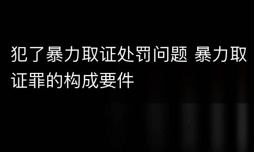 犯了暴力取证处罚问题 暴力取证罪的构成要件