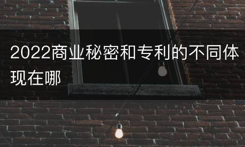 2022商业秘密和专利的不同体现在哪