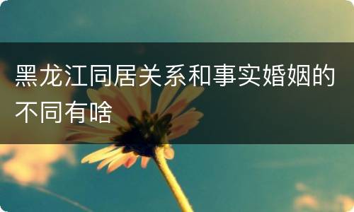 黑龙江同居关系和事实婚姻的不同有啥