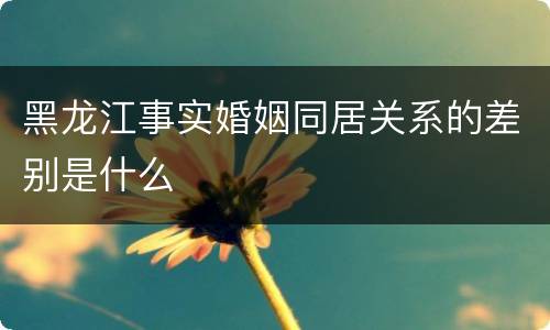 黑龙江事实婚姻同居关系的差别是什么