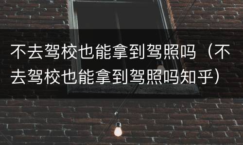不去驾校也能拿到驾照吗（不去驾校也能拿到驾照吗知乎）
