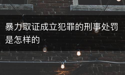 暴力取证成立犯罪的刑事处罚是怎样的