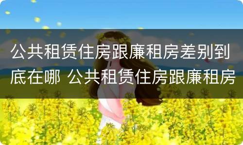 公共租赁住房跟廉租房差别到底在哪 公共租赁住房跟廉租房差别到底在哪儿