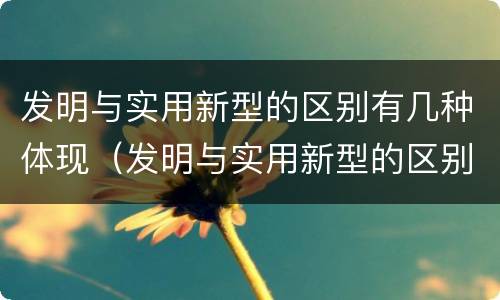 发明与实用新型的区别有几种体现（发明与实用新型的区别有哪些）
