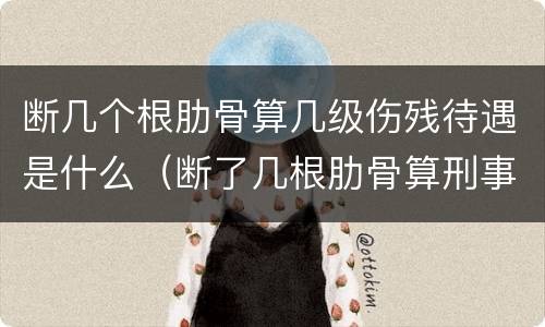 断几个根肋骨算几级伤残待遇是什么（断了几根肋骨算刑事）