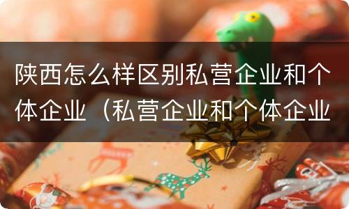 陕西怎么样区别私营企业和个体企业（私营企业和个体企业的区别）