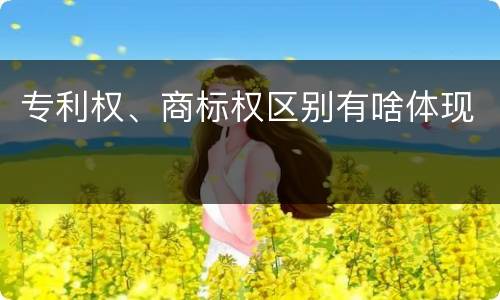 专利权、商标权区别有啥体现