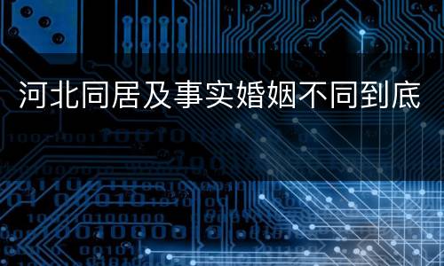 河北同居及事实婚姻不同到底
