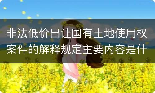 非法低价出让国有土地使用权案件的解释规定主要内容是什么