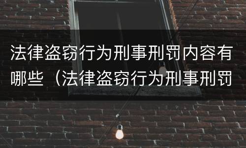 法律盗窃行为刑事刑罚内容有哪些（法律盗窃行为刑事刑罚内容有哪些规定）