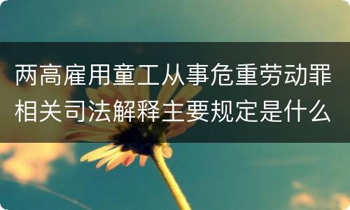 两高雇用童工从事危重劳动罪相关司法解释主要规定是什么