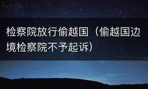 检察院放行偷越国（偷越国边境检察院不予起诉）