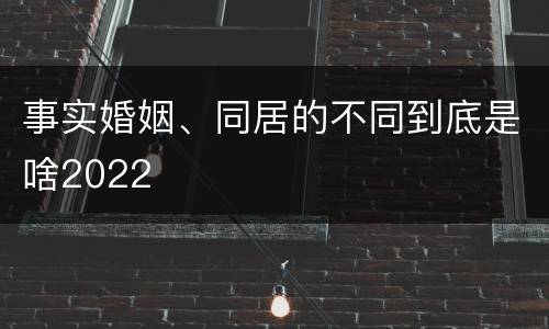 事实婚姻、同居的不同到底是啥2022