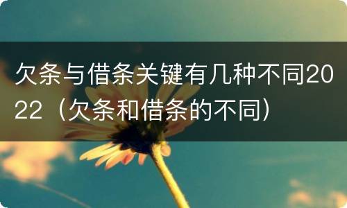 欠条与借条关键有几种不同2022（欠条和借条的不同）