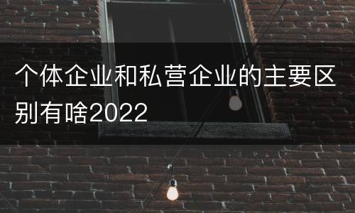 个体企业和私营企业的主要区别有啥2022