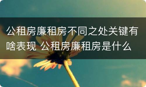 公租房廉租房不同之处关键有啥表现 公租房廉租房是什么