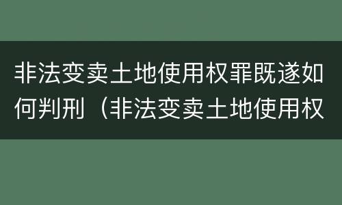 非法变卖土地使用权罪既遂如何判刑（非法变卖土地使用权罪既遂如何判刑）