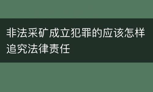 非法采矿成立犯罪的应该怎样追究法律责任
