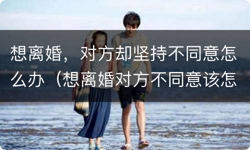 想离婚，对方却坚持不同意怎么办（想离婚对方不同意该怎么办）
