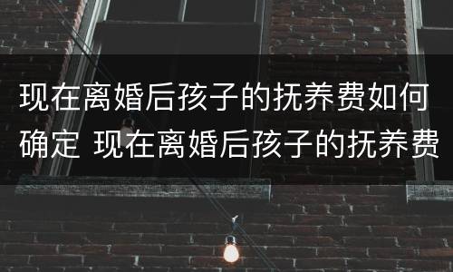 现在离婚后孩子的抚养费如何确定 现在离婚后孩子的抚养费如何确定抚养义务