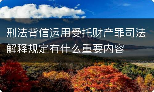 刑法背信运用受托财产罪司法解释规定有什么重要内容