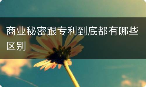 商业秘密跟专利到底都有哪些区别