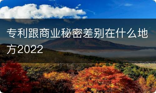 专利跟商业秘密差别在什么地方2022