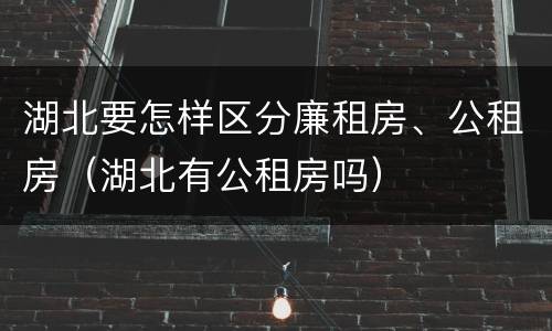 湖北要怎样区分廉租房、公租房（湖北有公租房吗）