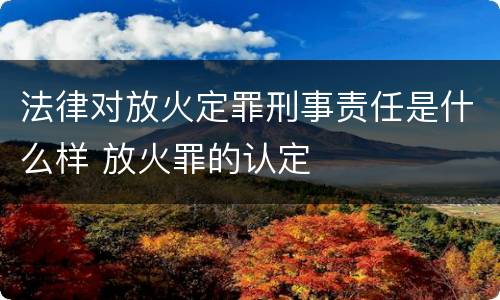 法律对放火定罪刑事责任是什么样 放火罪的认定
