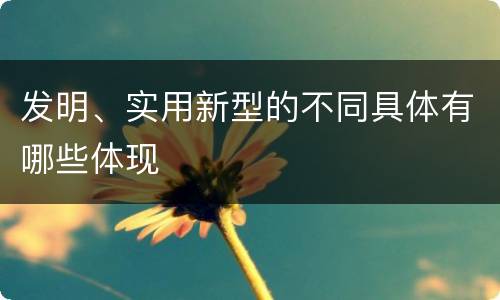 发明、实用新型的不同具体有哪些体现