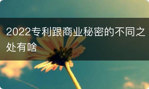 2022专利跟商业秘密的不同之处有啥