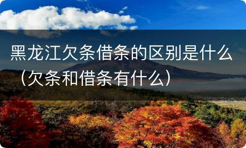 黑龙江欠条借条的区别是什么（欠条和借条有什么）