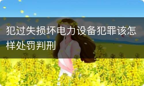 犯过失损坏电力设备犯罪该怎样处罚判刑
