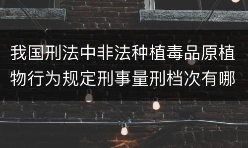 我国刑法中非法种植毒品原植物行为规定刑事量刑档次有哪些