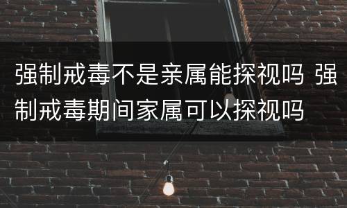 强制戒毒不是亲属能探视吗 强制戒毒期间家属可以探视吗