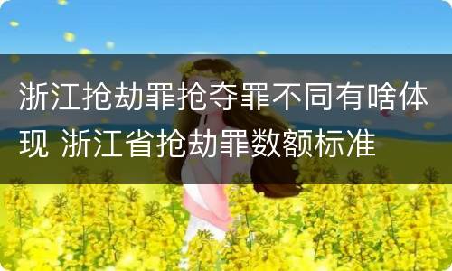 浙江抢劫罪抢夺罪不同有啥体现 浙江省抢劫罪数额标准