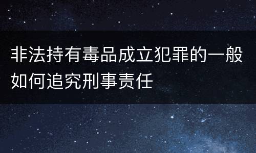 非法持有毒品成立犯罪的一般如何追究刑事责任