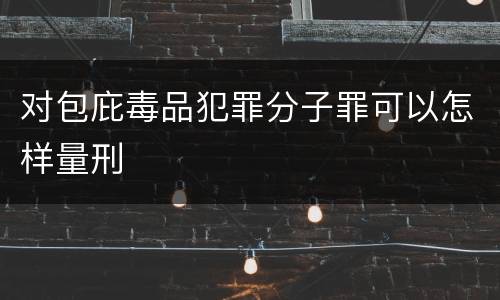 对包庇毒品犯罪分子罪可以怎样量刑